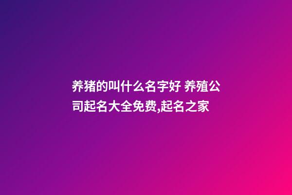 养猪的叫什么名字好 养殖公司起名大全免费,起名之家-第1张-公司起名-玄机派